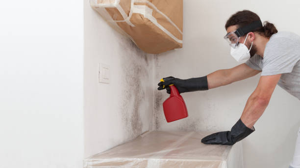 Professional Mold Testing technician working in Freeland, WA